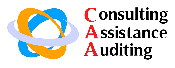 CONSULTING ASSISTANCE AUDITING - CAA